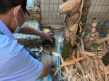 罗村白蚁消杀所——住宅防白蚁，这几步千万不能少！