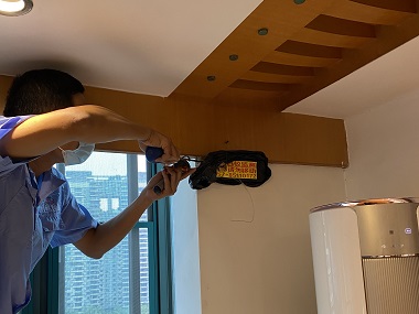 狮山白蚁备案公司白蚁和蚂蚁的核心有什么区别