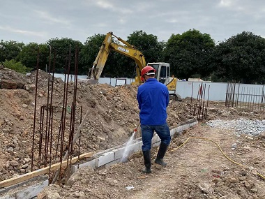 大沥白蚁验收机构建房地基防白蚁方案